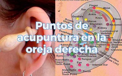 Puntos de acupuntura en la oreja derecha